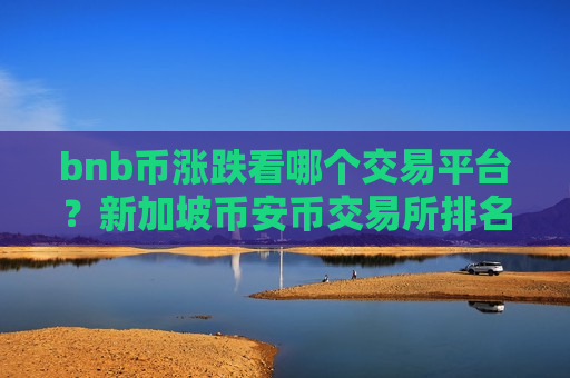 bnb币涨跌看哪个交易平台？新加坡币安币交易所排名第几