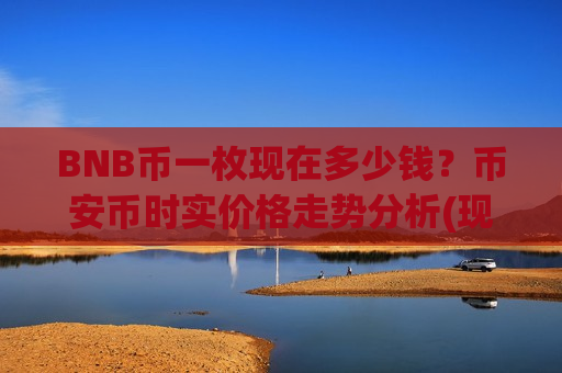 BNB币一枚现在多少钱？币安币时实价格走势分析(现价5262.91元)
