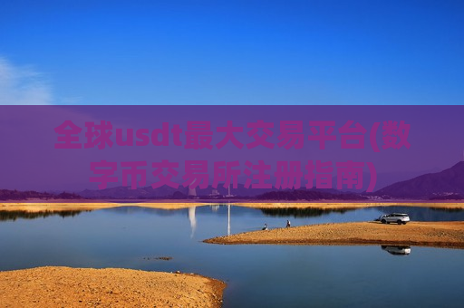 全球usdt最大交易平台(数字币交易所注册指南)