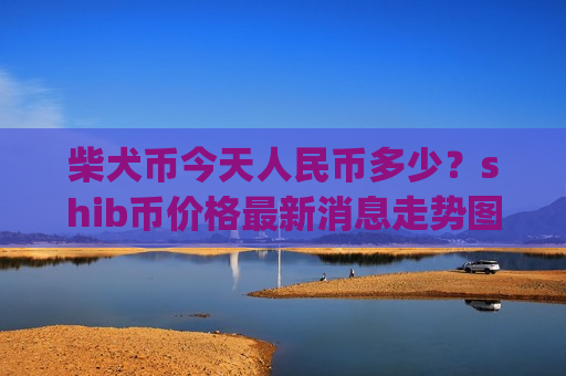柴犬币今天人民币多少？shib币价格最新消息走势图分析表(现价0.00019614元)
