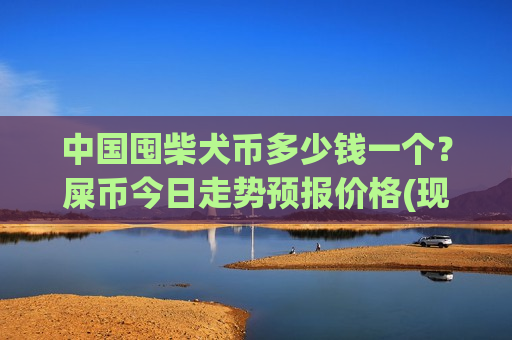 中国囤柴犬币多少钱一个？屎币今日走势预报价格(现价0.00019636元)