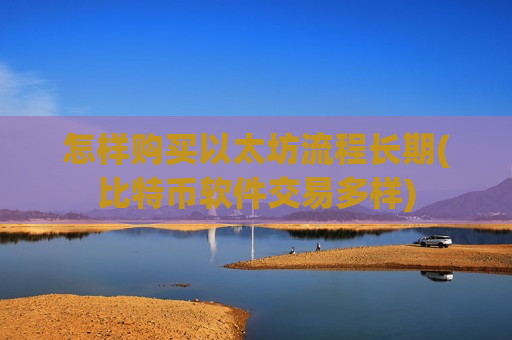 怎样购买以太坊流程长期(比特币软件交易多样)