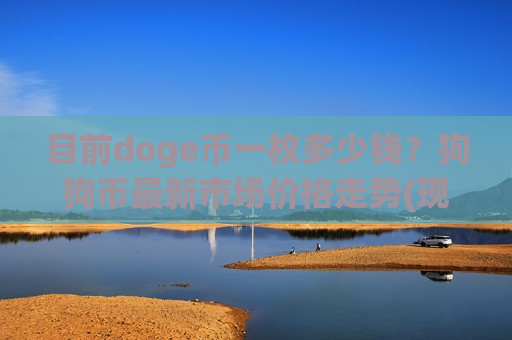 目前doge币一枚多少钱？狗狗币最新市场价格走势(现价2.9177元)