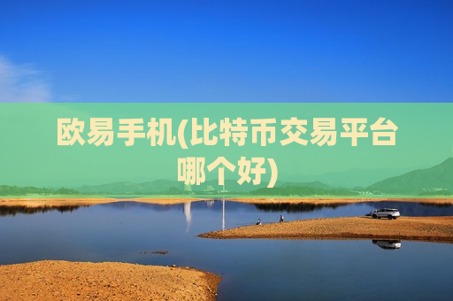 欧易手机(比特币交易平台哪个好)