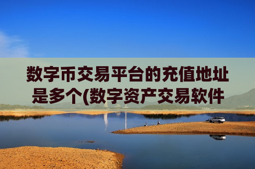 数字币交易平台的充值地址是多个(数字资产交易软件操作更流畅)
