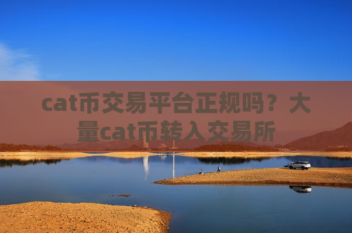 cat币交易平台正规吗？大量cat币转入交易所