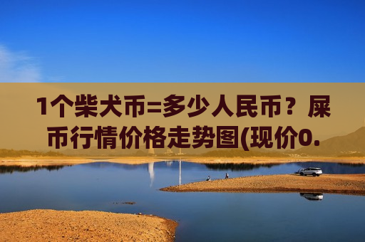 1个柴犬币=多少人民币？屎币行情价格走势图(现价0.00019657元)