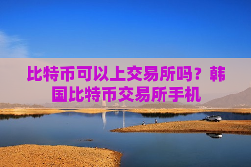 比特币可以上交易所吗？韩国比特币交易所手机