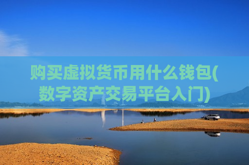 购买虚拟货币用什么钱包(数字资产交易平台入门)-第1张图片-币圈网 购买虚拟货币用什么钱包(数字资产交易平台入门)-第1张图片-币圈网