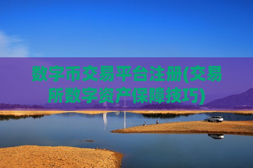 数字币交易平台注册(交易所数字资产保障技巧)