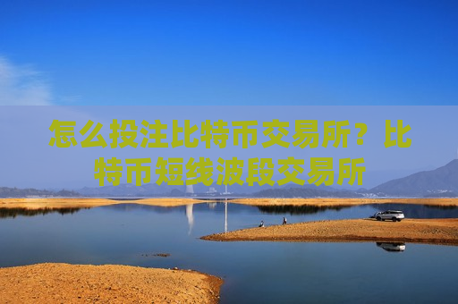 怎么投注比特币交易所？比特币短线波段交易所