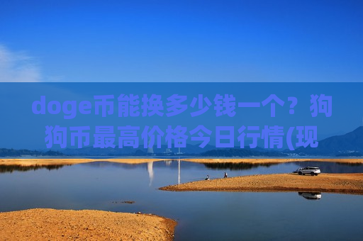 doge币能换多少钱一个？狗狗币最高价格今日行情(现价2.9179元)