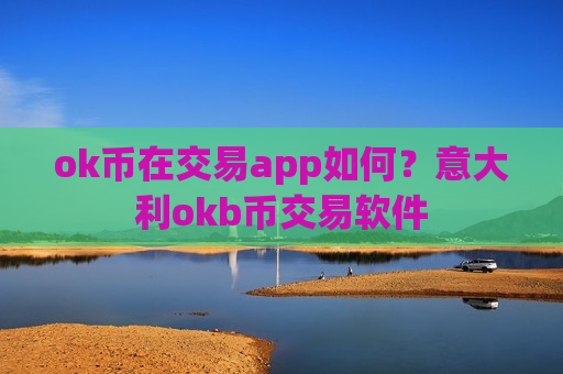ok币在交易app如何？意大利okb币交易软件