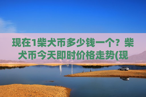 现在1柴犬币多少钱一个？柴犬币今天即时价格走势(现价0.00019718元)