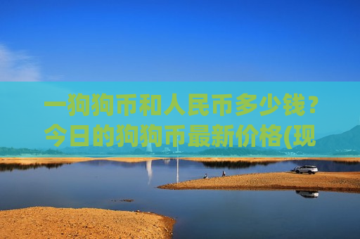 一狗狗币和人民币多少钱？今日的狗狗币最新价格(现价2.9207元)