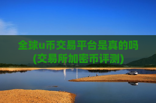 全球u币交易平台是真的吗(交易所加密币评测)