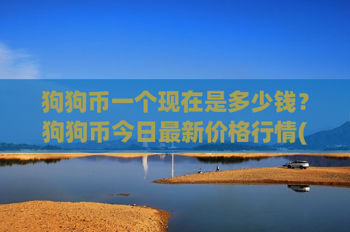 狗狗币一个现在是多少钱？狗狗币今日最新价格行情(现价2.9229元)