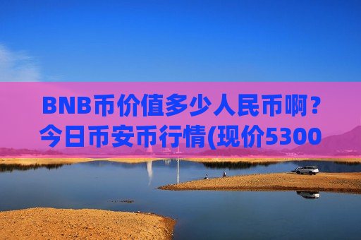 BNB币价值多少人民币啊？今日币安币行情(现价5300.93元)