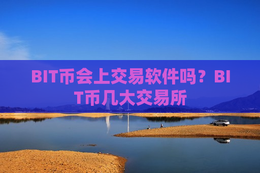 BIT币会上交易软件吗？BIT币几大交易所