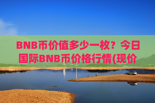 BNB币价值多少一枚？今日国际BNB币价格行情(现价5301.21元)