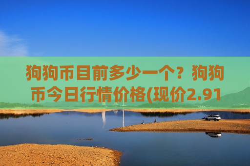 狗狗币目前多少一个？狗狗币今日行情价格(现价2.9162元)