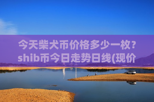 今天柴犬币价格多少一枚？shib币今日走势日线(现价0.0001966元)