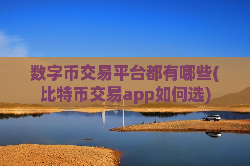 数字币交易平台都有哪些(比特币交易app如何选)