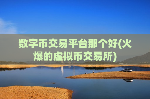 数字币交易平台那个好(火爆的虚拟币交易所)