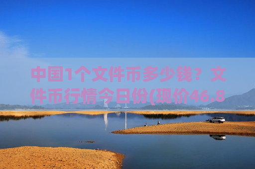 中国1个文件币多少钱？文件币行情今日份(现价46.8143元)