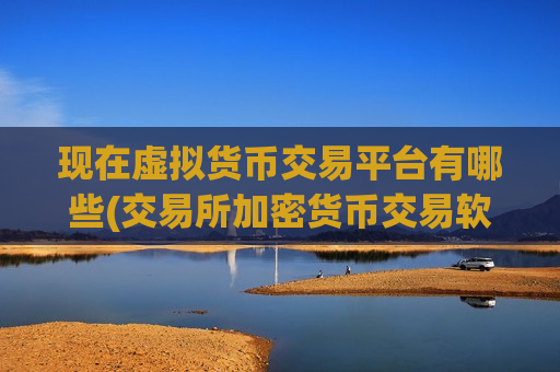 现在虚拟货币交易平台有哪些(交易所加密货币交易软件)-第1张图片-币圈网