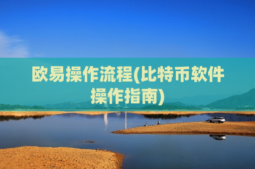 欧易操作流程(比特币软件操作指南)