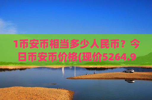 1币安币相当多少人民币？今日币安币价格(现价5264.97元)