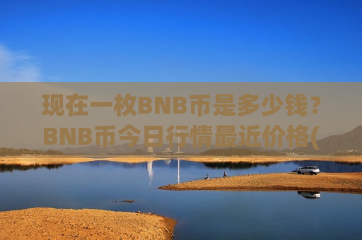 现在一枚BNB币是多少钱？BNB币今日行情最近价格(现价5266.91元)-第1张图片-币圈网