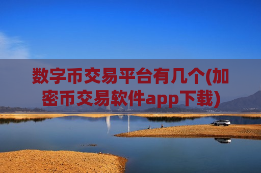 数字币交易平台有几个(加密币交易软件app下载)