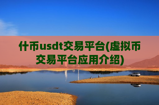 什币usdt交易平台(虚拟币交易平台应用介绍)