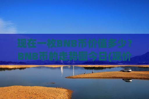 现在一枚BNB币价值多少？BNB币的走势图今日(现价5254.01元)
