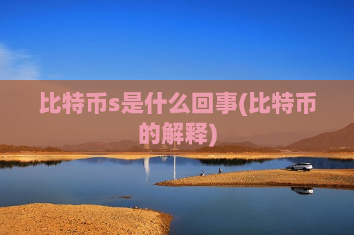 比特币s是什么回事(比特币的解释)