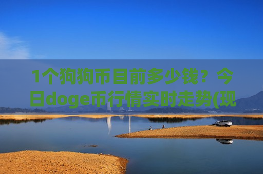 1个狗狗币目前多少钱？今日doge币行情实时走势(现价2.9423元)