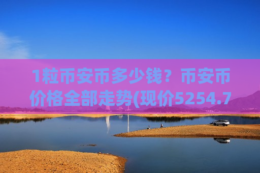 1粒币安币多少钱？币安币价格全部走势(现价5254.74元)-第1张图片-币圈网