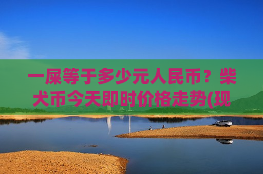 一屎等于多少元人民币？柴犬币今天即时价格走势(现价0.00019895元)