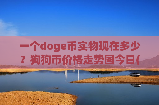 一个doge币实物现在多少？狗狗币价格走势图今日(现价2.956元)