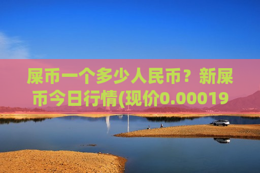 屎币一个多少人民币？新屎币今日行情(现价0.00019895元)