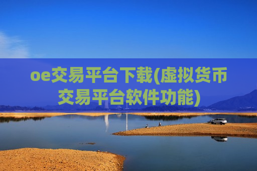 oe交易平台下载(虚拟货币交易平台软件功能)