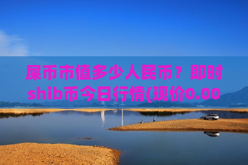 屎币市值多少人民币？即时shib币今日行情(现价0.00019884元)