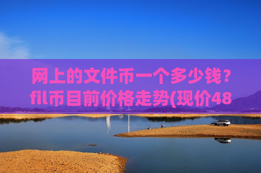 网上的文件币一个多少钱？fil币目前价格走势(现价48.0936元)