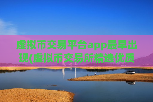 虚拟币交易平台app最早出现(虚拟币交易所精选优质)