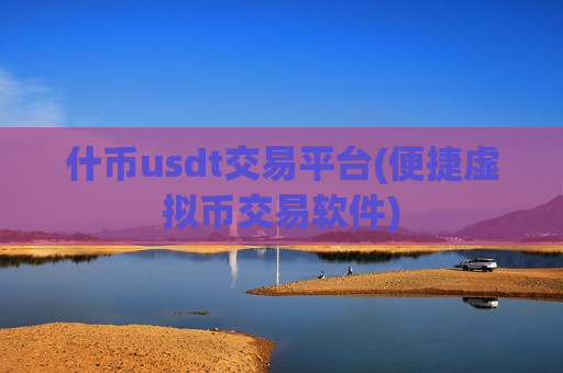 什币usdt交易平台(便捷虚拟币交易软件)