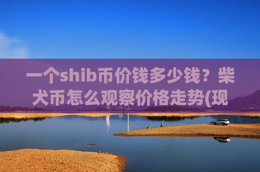 一个shib币价钱多少钱？柴犬币怎么观察价格走势(现价0.00019902元)