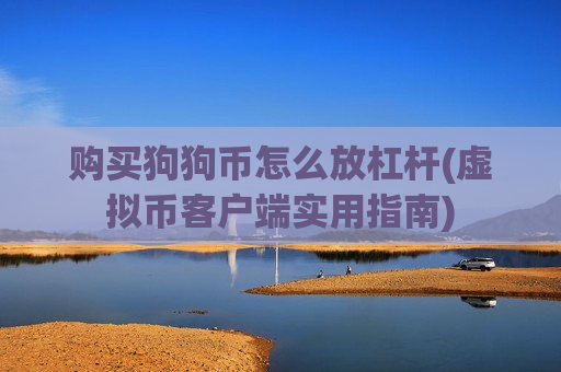 购买狗狗币怎么放杠杆(虚拟币客户端实用指南)-第1张图片-币圈网