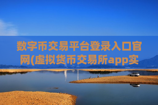 数字币交易平台登录入口官网(虚拟货币交易所app实用性)